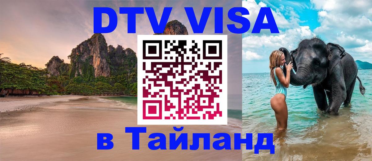 Сколько стоит DTV виза — актуальные цены, оформление даже без документов - 19.11.2025 